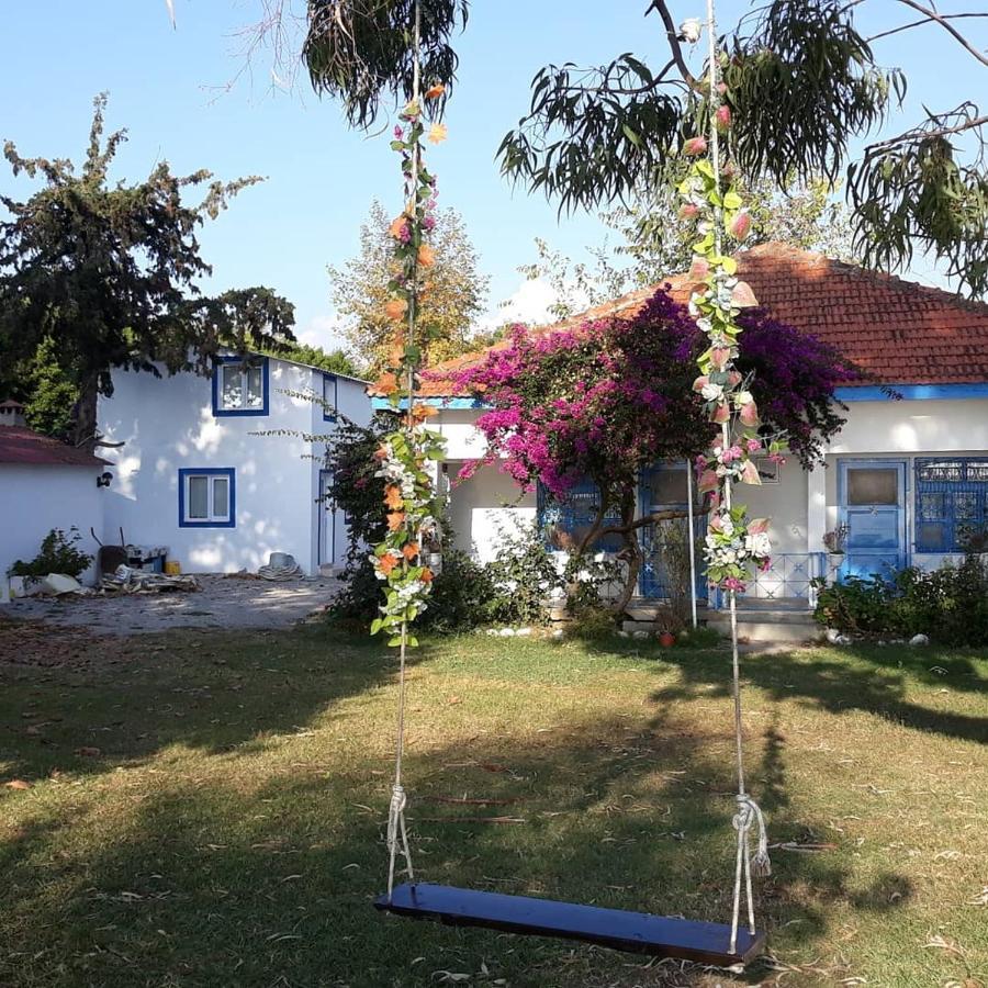 Okaliptus Butik Hotel Fethiye Luaran gambar