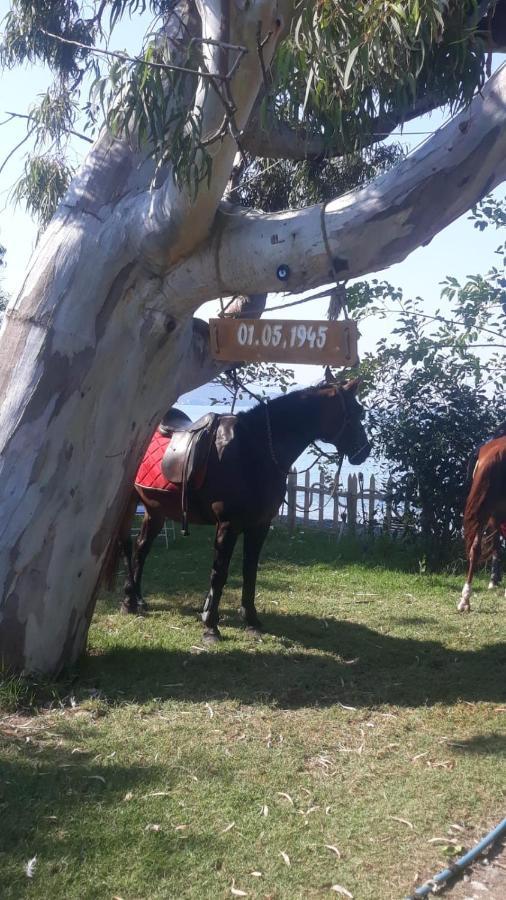 Okaliptus Butik Hotel Fethiye Luaran gambar