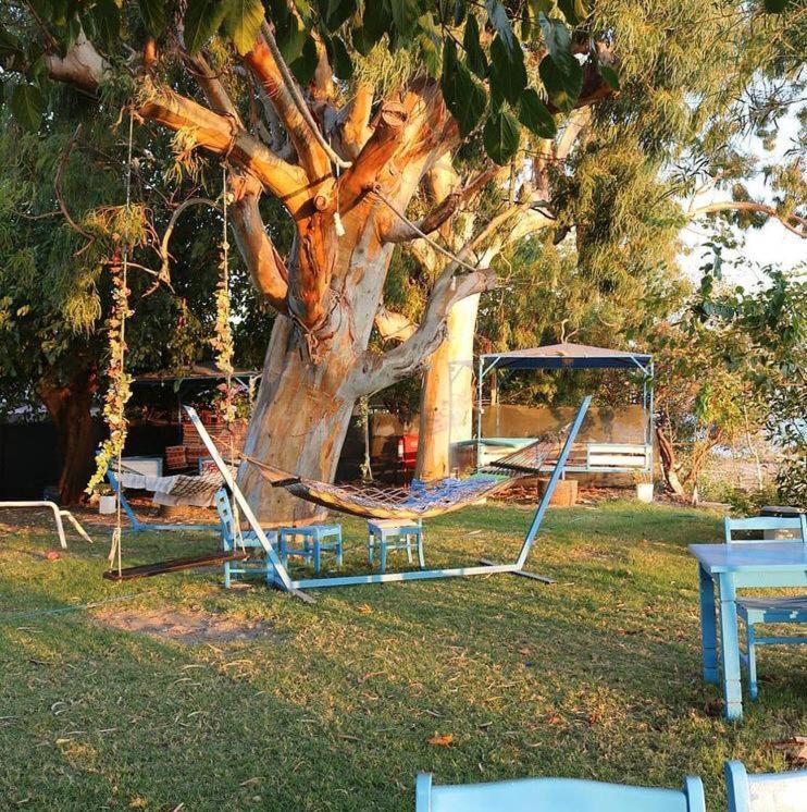 Okaliptus Butik Hotel Fethiye Luaran gambar